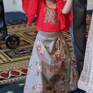 Lehenga/lengha/chaniya choli/indian